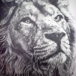 Lavanya portraits animals