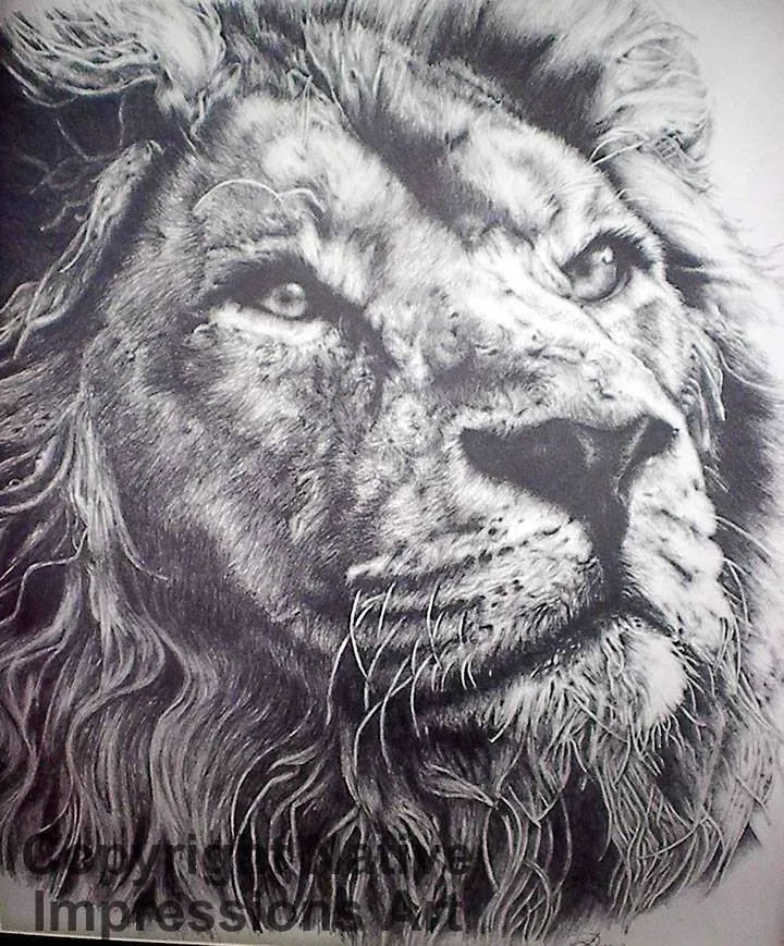Lavanya portraits animals