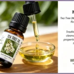 Lavanya NZ Tea Tree essential oil